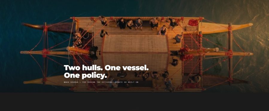 Integrity NZ website — waka hourua hero